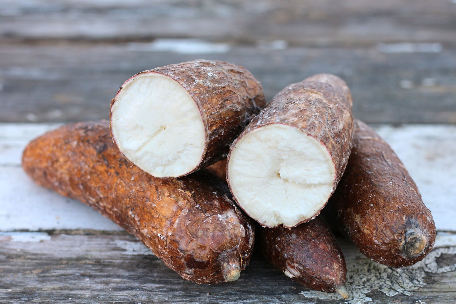 Manioc variété Gbazékouté